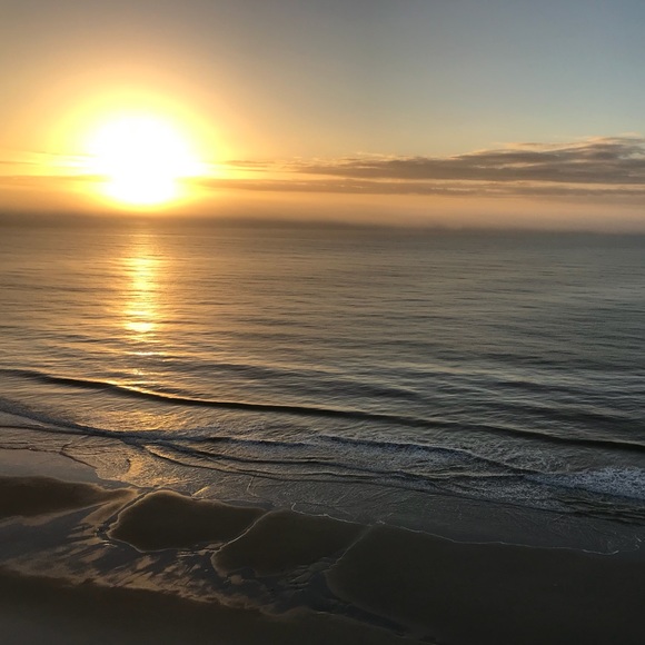 Meet your Posher, Dianne - Picture 1 of 1